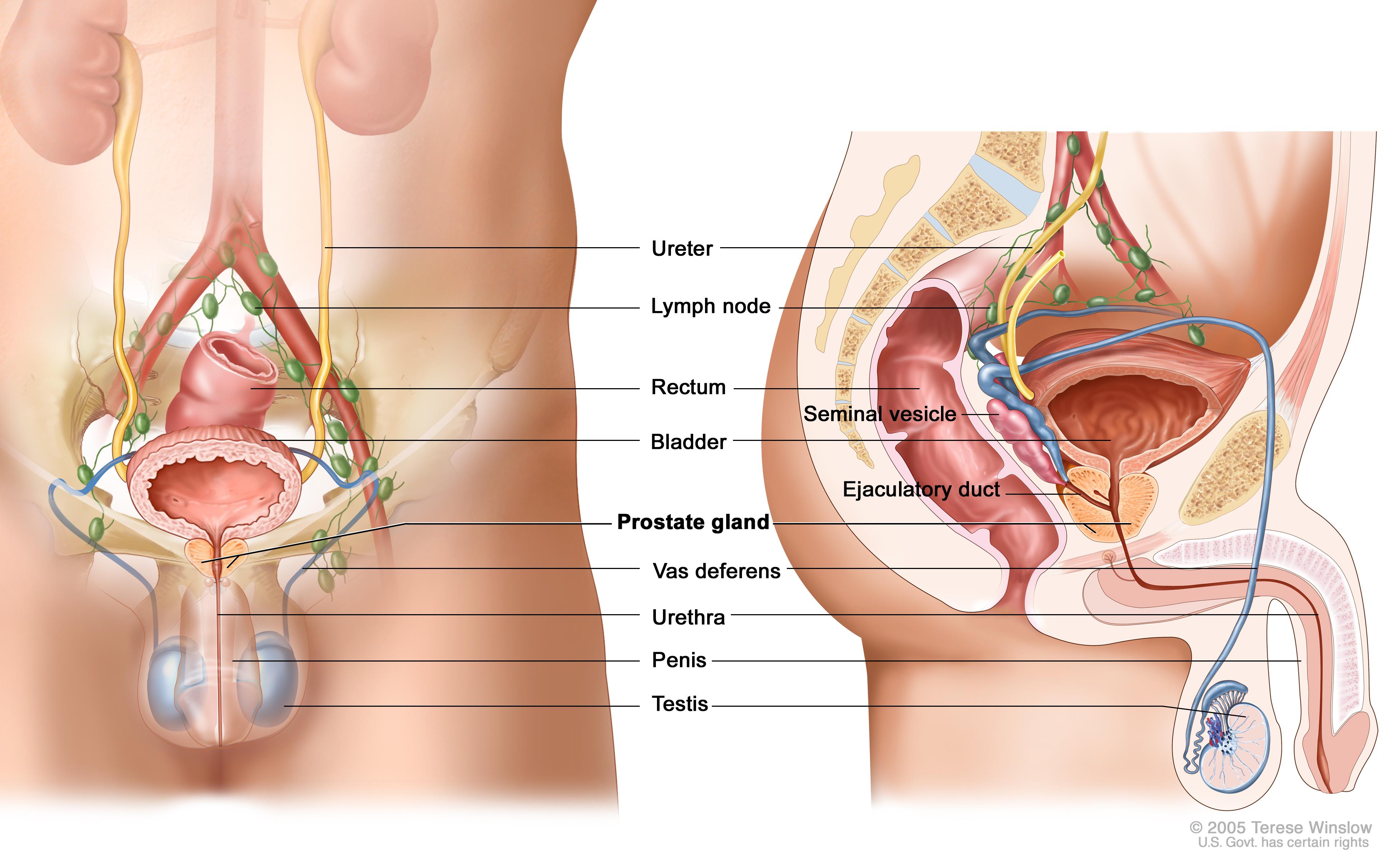 Prostate  Treatment